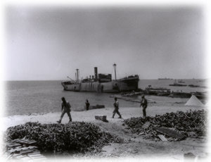 The S.S. River Clyde was run aground at "V" Beach on the 25th April, 1915. Note the square section removed along the hull of the ship. This is where the Dublin Fusiliers disembarked to run up the Beach. Many were drowned and killed when just disembarking. Of the 1100 men of the Royal Dublin Fusiliers who took part in the landing, only 11 survived Gallipoli.